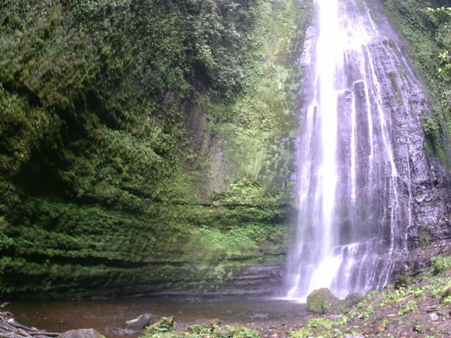 Berbicara destinasi wisata air terjun Malalak Agam Sumatera Barat, tak ada salahnya melihat air terjun Batang Marambuang. Sebuah destinasi alam dengan pesona indahnya yang masih asri dan menarik untuk dikunjungi. Malalak sendiri merupakan salah satu kecamatan yang berada di dalam wilayah kabupaten Agam Provinsi Sumatera Barat. Selain itu Kecamatan ini juga merupakan sebuah kecamatan termuda yang ada di kabupaten ini. Meskipun begitu wilayah kecamatan ini mempunyai segudang kapasitas sebagai destinasi wisata yang menarik. Kapasitas destinasi wisata menarik juga ditandai dengan adanya potensi wisata alam air. Banyaknya air terjun yang melimpah di kecamatan ini kerap juga dimanfaatkan oleh masyarakat lokal sebagai Pembangkit Listrik Tenaga Air Mini. Ada banyak potensi dengan lebih kurang 17 destinasi wisata air dimana dari sebagian itu semua di kelola swadaya oleh masyarakat lokal. Salah satu yang menarik dan saya kunjungi adalah Air Terjun Batang Marambuang dengan pesona dan adanya pedang menancap ke bumi. Mengunjungi Air Terjun Malalak, Air Terjun Batang Marambuang. Berangkat dari kota Pekanbaru menggunakan sepeda motor bersama 2 orang teman dari Komunitas Kaskus Regional Riau Raya langsung menuju kampung saya yang notabene masih disatu kabupaten dengan Malalak, yaitu di Kecamatan Matur. Dari kampung saya sendiri untuk bisa sampai di Kecamatan Malalak berjarak 30 menit dengan memakai sepeda motor. Pada awalnya kami memang merencanakan untuk ke destinasi wisata Air Terjun Langkuik Tamiang di Malalak, tetapi setiba di lokasi ternyata sedang ditutup karena ada musibah banjir bandang yang memakan korban. Karena di luar rencana, kami pun menelusuru jalan sepanjang di daerah ini. Setelah banyak melewati destinasi lokal, saya akhirnya melihat sebuah spanduk yang menunjukan sebuah tempat wisata alam dengan background gerojokan dan sebuah tugu pisau menancap serta bertuliskan Air Terjun Batang Marambuang. Kami pun langsung menelusuri dan menuju lokasi wisata tersebut. Sebuah pedang menancap Selang beberapa waktu kami mengikuti penunjuk jalan di lokasi tersebut, tibalah kami di pemberhentian terakhir yang merupakan rumah warga lokal terakhir dari sisi jalan. Karena tidak ada lagi jalur untuk kendaraan kami pun bertanya dengan ibu - ibu yang sedang berada di lokasi. Dari bertanya tersebut, ibu itu menganjurkan untuk meletakkan motor di kediamannya dan lanjut menelusuri dengan berjalan kaki. Agar lebih mudah, ibu memanggil seorang anak remaja yang kebetulan juga ada di dekat rumah ibu, dimana remaja yang bernama Buyung itu menjadi penuntun jalan kami menuju tempat yang kami tuju. Jalan kami dimulai dengan melewati indahnya hijau area persawahan yang kemudian dilanjutkan dengan adanya tanjakan naik terus masuk ke dalam hutan. Untuk bisa sampai di destinasi yang kami inginkan membutuhkan waktu kurang 30 menit, dimana sebelum sampai di titik akhir kita bisa melihat sebuah air terjun kecilnya. Waktu di jam tangan saya sudah menunjukan perjalan sekitar 20 menit, dan tak lama setelah itu saya mulai mendengar riuh suara khas destinasi air terjun. Dari kejauhan terlihat air terjun kecil yang sudah dibicarakan sebelumnya dengan debit air yang tidak terlalu banyak. Kami pun terus melanjutkan perjalanan menuju destinasi yang memang kami ingin tuju. Dengan semangat bertubi-tubi jalan dan menyebrangi sungai-sungai kecil serta mendaki tanjakan bebatuan finally !!!. Tampak sebuah pedang atau bisa dikatakan sebuah pisau yang menancap di tanah. Di belakang pedang tersebut namapak air terjun Malalak yang kami ingin lihat dari tadi, Air Terjun Batang Marambuang. Penat seketika hilang, yang lalu membuat saya dan teman - teman menyiapkan kamera untuk berswafoto. Ingin tau, saya pun bertanya dengan si Buyung tour guide kami, tentang keberadaan tugu pisau yang menancap ini. Kenapa dan siapakah yang mendirikannya. Dari pertanyaan tersebut, remaja itu mengatakan jika lokasi destinasi alam ini sering atau kerap dijadikan sebagai lokasi latihan para Kopassus. Karena seperti sudah sebagai rumah sendiri, tim Kopassus tersebut lalu membuat prasasti atau monumen pisau ini pada ekspedisi Bukit Barisan ditahun 2011 yang lalu. Sehingga memang tempat ini selalu dijaga dan digunakan ditiap-tiap acara latihan Koppasus. Puas bertanya, kegiatan selanjutnya adalah menikmati indahnya pesona air terjun Malalak, Air Terjun Batang Marambuang ini. Dengan menggunakan kostum mandi yang sudah kami persiapkan sebelumnya, kami langsung mencoba menikmatinya. Dengan satu kaki yang baru masuk di aliran airnya, kami sedikit terkejut dengan dinginnya. Dengan tinggi sekitar 75 meter, kondisinya lumayan deras. Disekitar aliran juga banyak bebatuan, sehingga memang membuat saya dan teman-teman sedikit berhati-hati. Tentu saja di tengah dengan musimnya kabut asap di Sumatera, saya bisa menikmati dan merasakan alam di destinasi ini. Tak ingin cepat atau segera beranjak dari indahnya destinasi wisata ini. Air terjun Batang Marambuang yang kami nikmati ini nyatanya memang indah, bersih, asri dan memberi kenyaman sendiri dengan suara - suara burung dan lantunan nada jatuhnya air yang membuat pilihan kami kali ini tak mengecewakan. Walaupun kenyamanan kami sedikit terganggu dengan tak lama turun rintik hujan yang tentu saja membuat kami harus menyudahi mandi-mandi yang kami lakukan. Kami pun bergegas dan beranjak pulang dari pengalaman yang menarik ini. Oh iya sampai lupa, untuk menggunakan jasa tour guide bayarannya terserah dan seikhlasnya. Tak lupa dari beberapa permintaan warga untuk membantu menyebarkan destinasi wisata indah ini. Air Terjun Batang Marambuang, Alam elok yang indah mempesona yang menjadi bagian indahnya banyak air terjun Malalak.