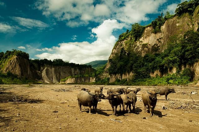 tempat wisata di bukittinggi ngarai sianok