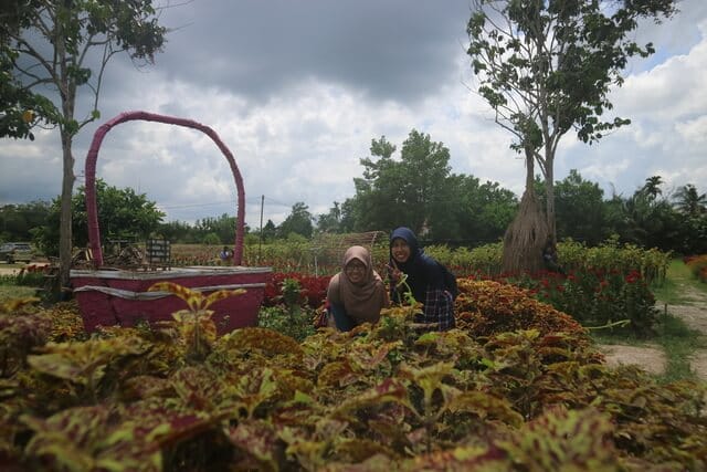 mengunjungi taman bunga impian okura pekanbaru