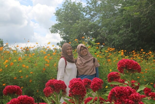 berswafoto di taman bunga impian okura pekanbaru