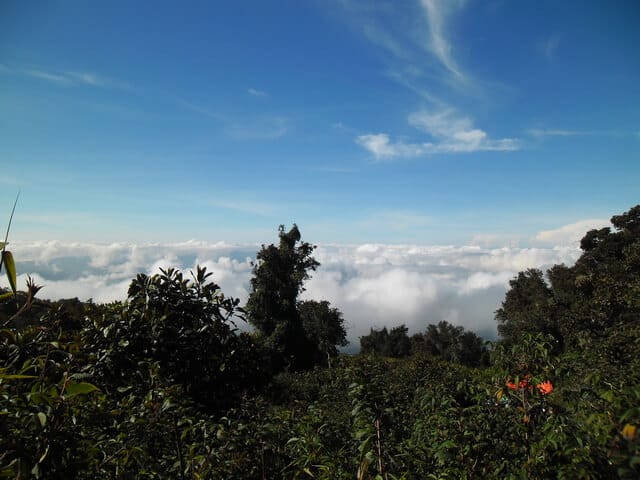 gumpalan awan shelter 1 gunung kerinci