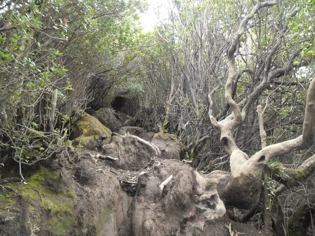 jalur pendakian sulit gunung kerinci