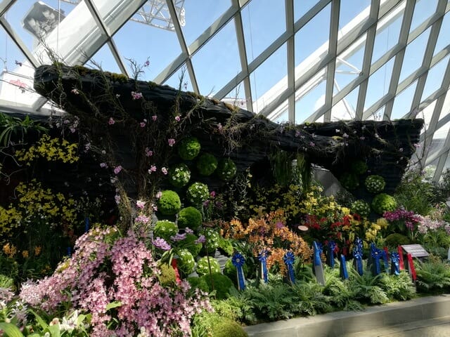 Flower dome Gardens By The Bay Singapore