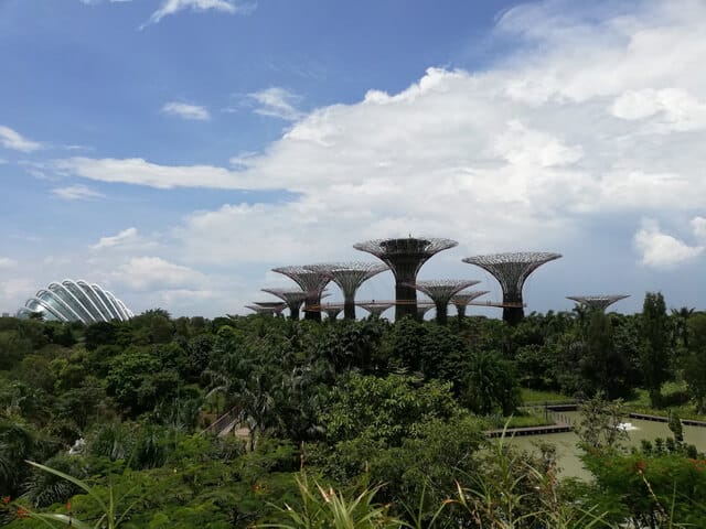 Super Tree gardens by the bay SIngapore