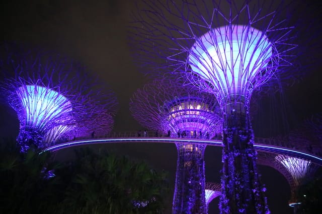 ocbc skywalk gardens by the bay