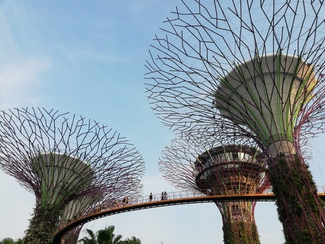 OCBC Skywalk Gardens By The Bay