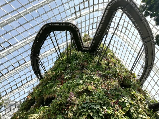 Cloud Forest Gardens By The Bay Singapore