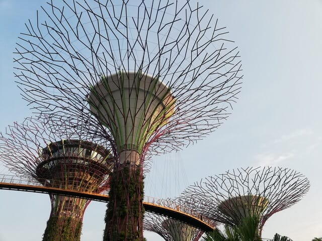 Super Tree Gardens By The Bay