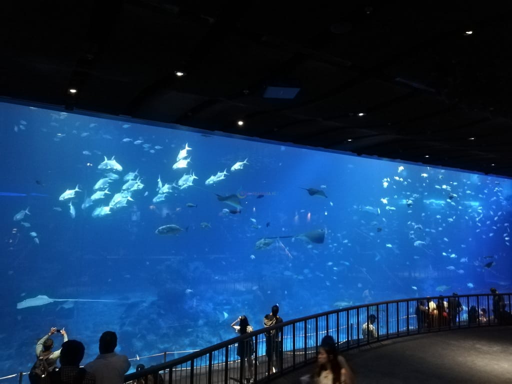 SEA Aquarium