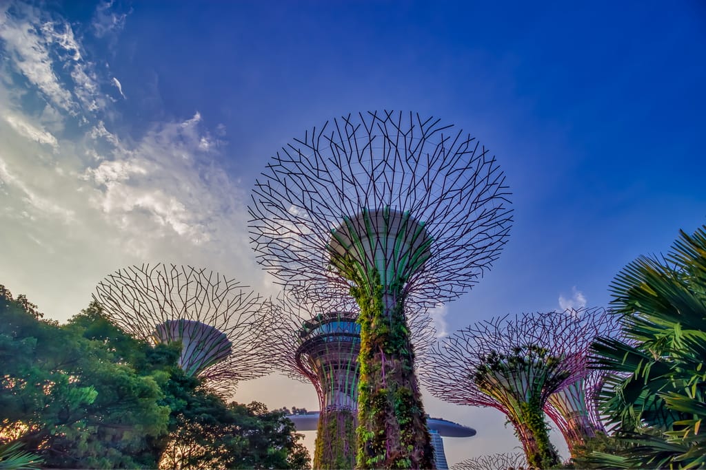 Gardens By The bay