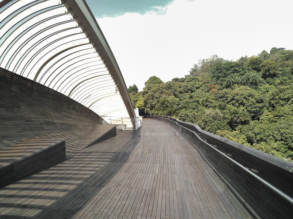 henderson waves bridge