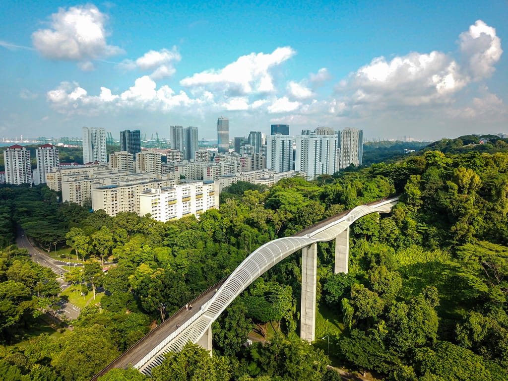 Henderson Waves Bridge